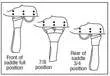 Circle-Y Walnut Grove A-Fork
