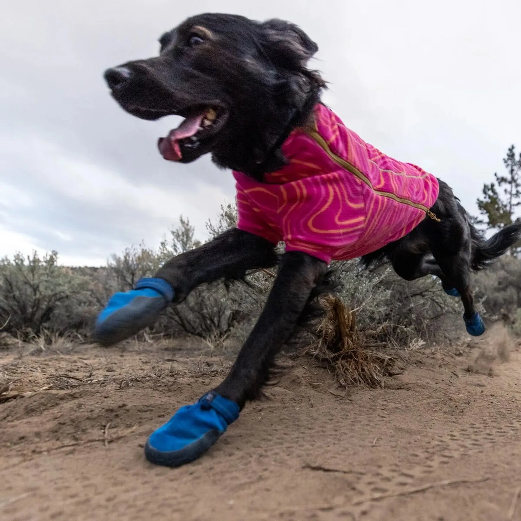 Ruffwear Hi & Light Trail Dog Shoes