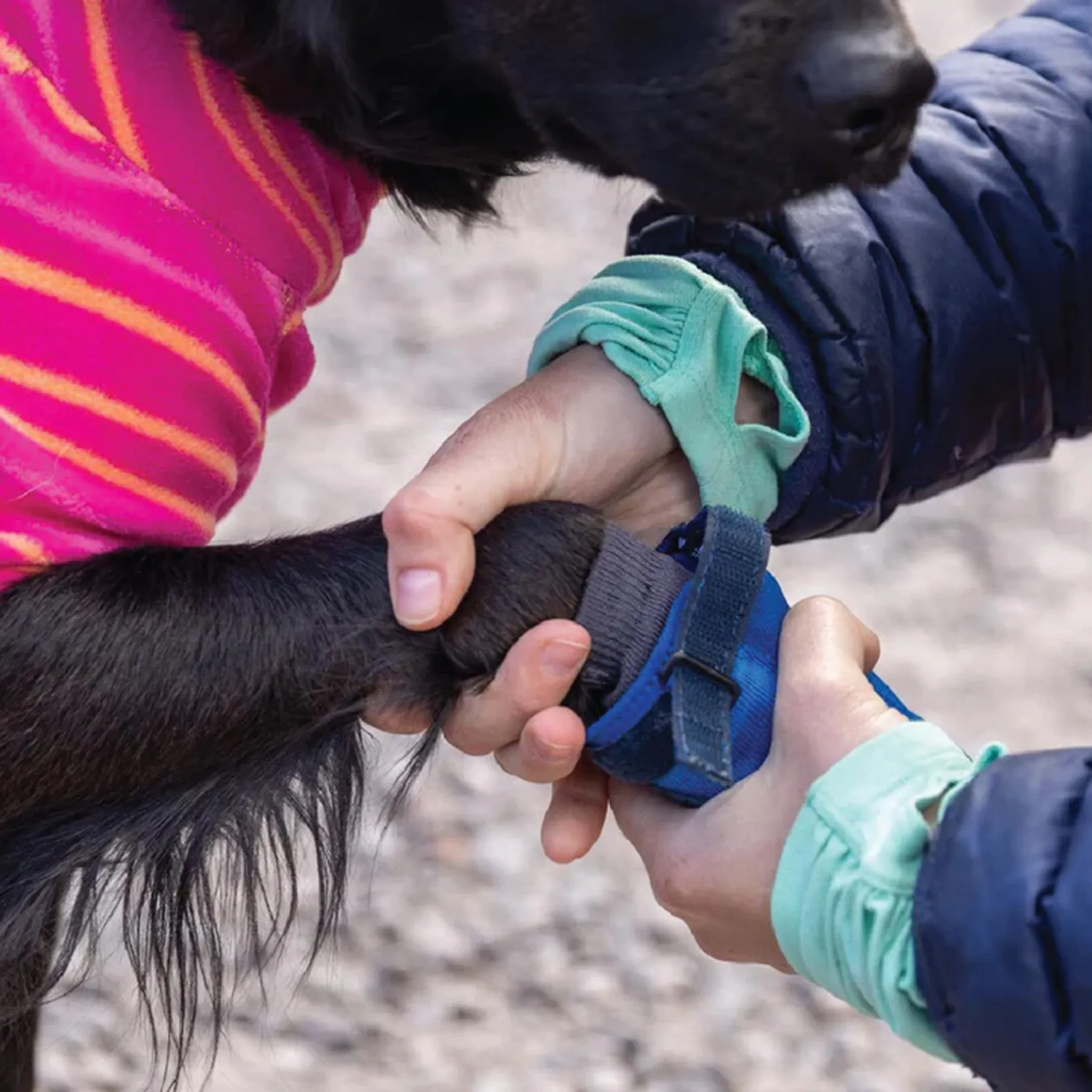 Ruffwear Hi & Light Trail Dog Shoes