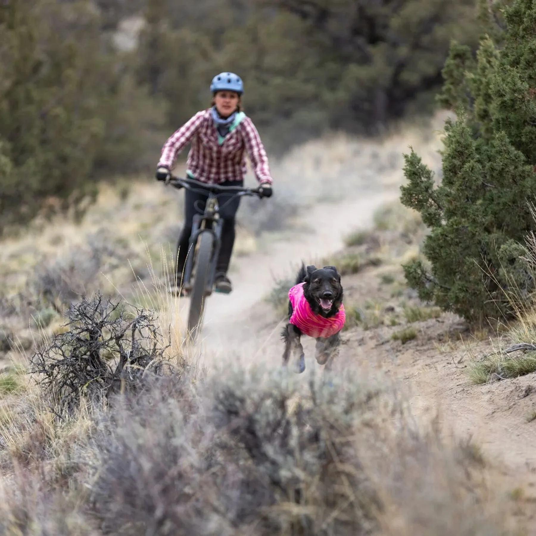 Ruffwear Hi & Light Trail Dog Shoes