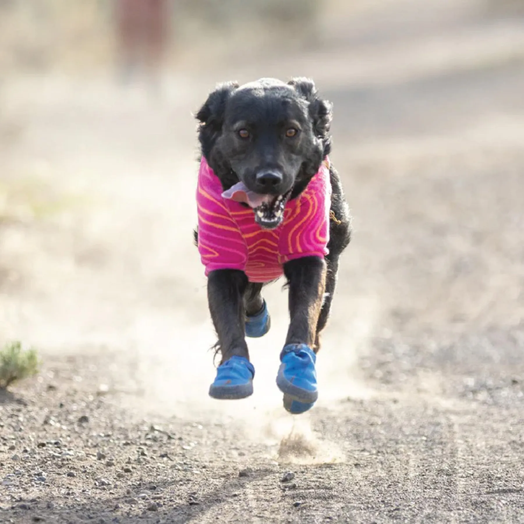 Ruffwear Hi & Light Trail Dog Shoes